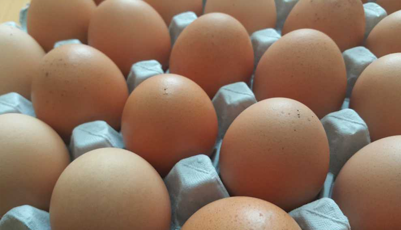 30’lu Yumurta 60 TL Oldu