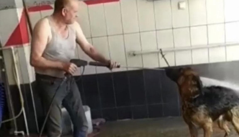 Bursa’da sıcaktan bunalan köpeğin imdadına itfaiye yetişti.