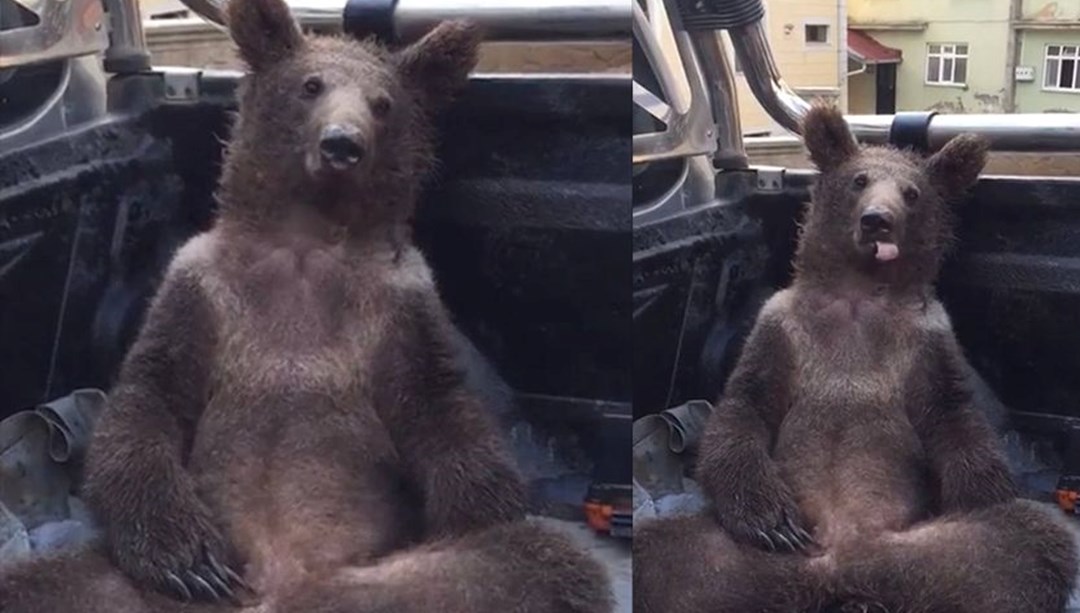 “Balkız” Adı Verildi.