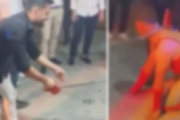 Düğünde damada kadın iç çamaşırı giydirip, tasma taktılar!