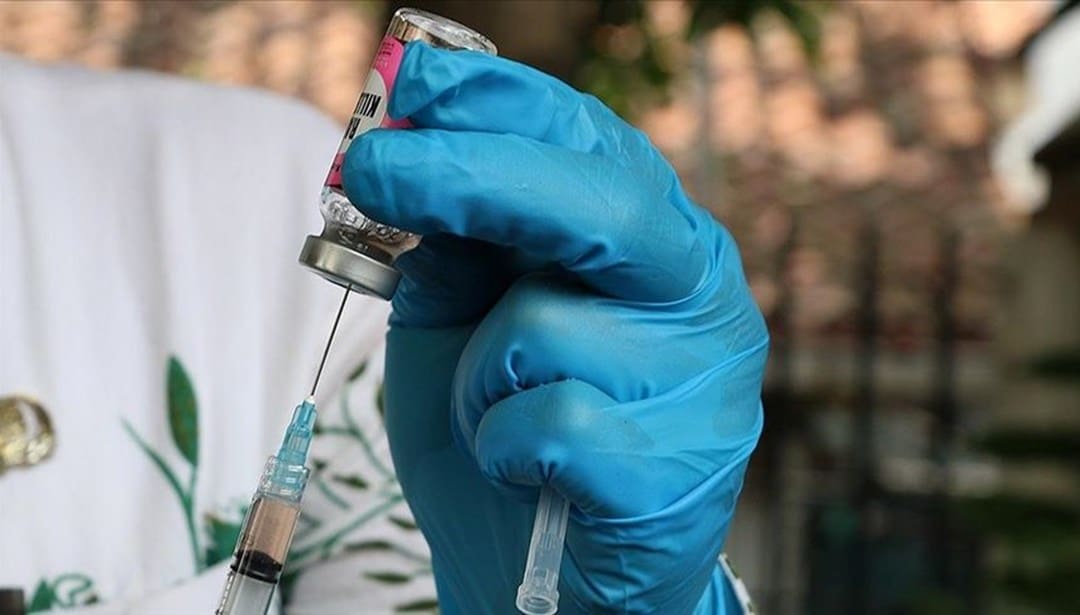 Türkiye, kuduz aşısı bulamıyor