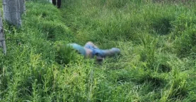 Bayramda kaybolmuştu cansız bedeni bulundu