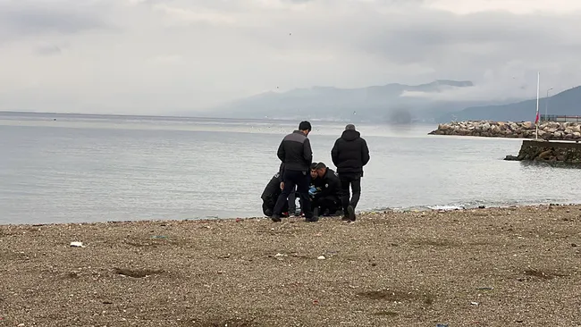 bursada-plajda-erkek-cesedi-bulundu-1793128599662.jpeg